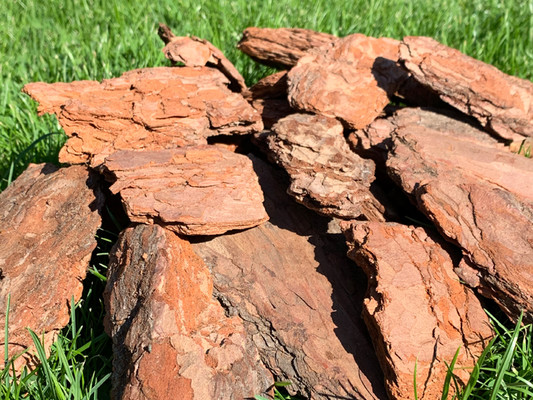Кора сосны для мульчирования